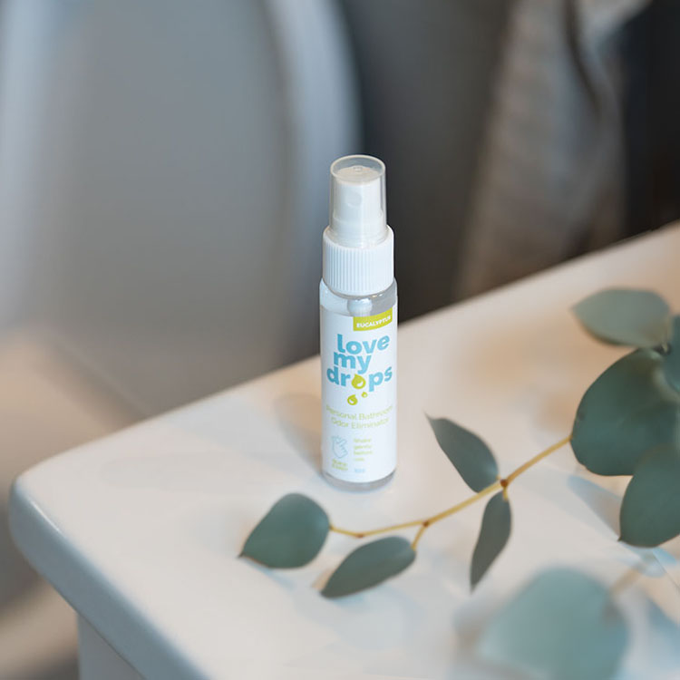 Duftspray til toilettet, Sprayflaske