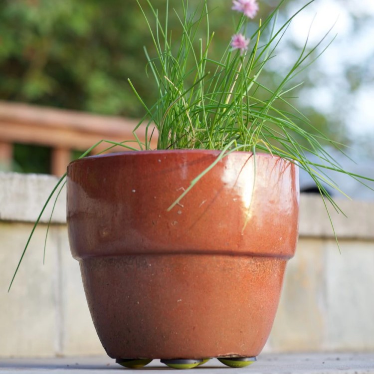 Krukkefødder 4-pak, Small Grøn