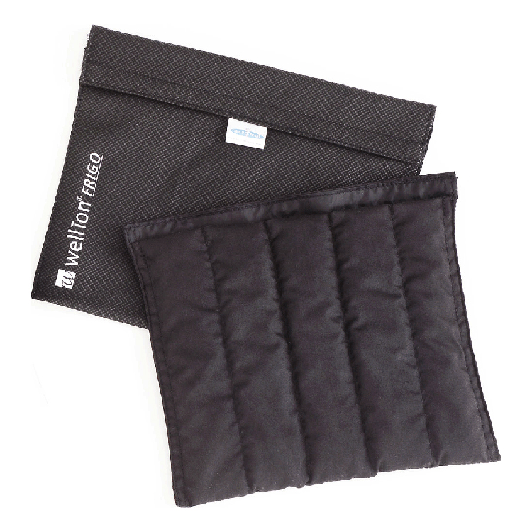 Kølepose til medicin, Large Wellion