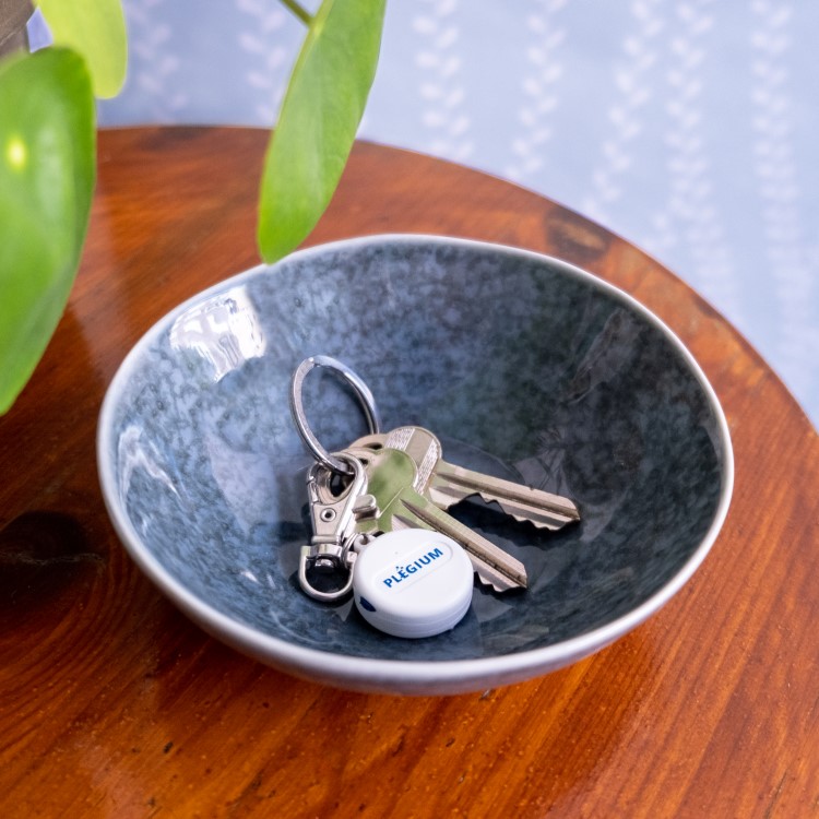 Overfaldsknap Plegium, Karabinhage