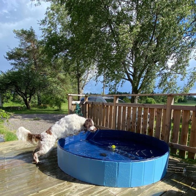 Sammenklappelig hundepool, 160cm billede