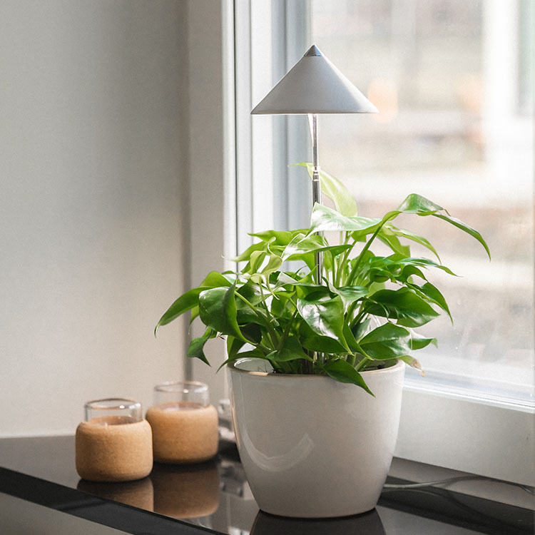 Vækstlampe på spyd 7W, Hvid