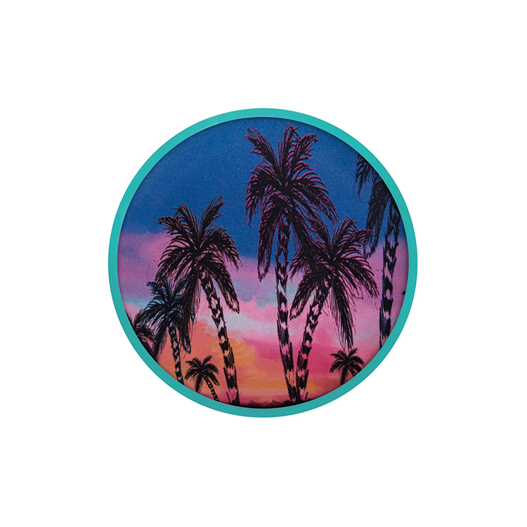 Flydende frisbee Waboba, Palmer