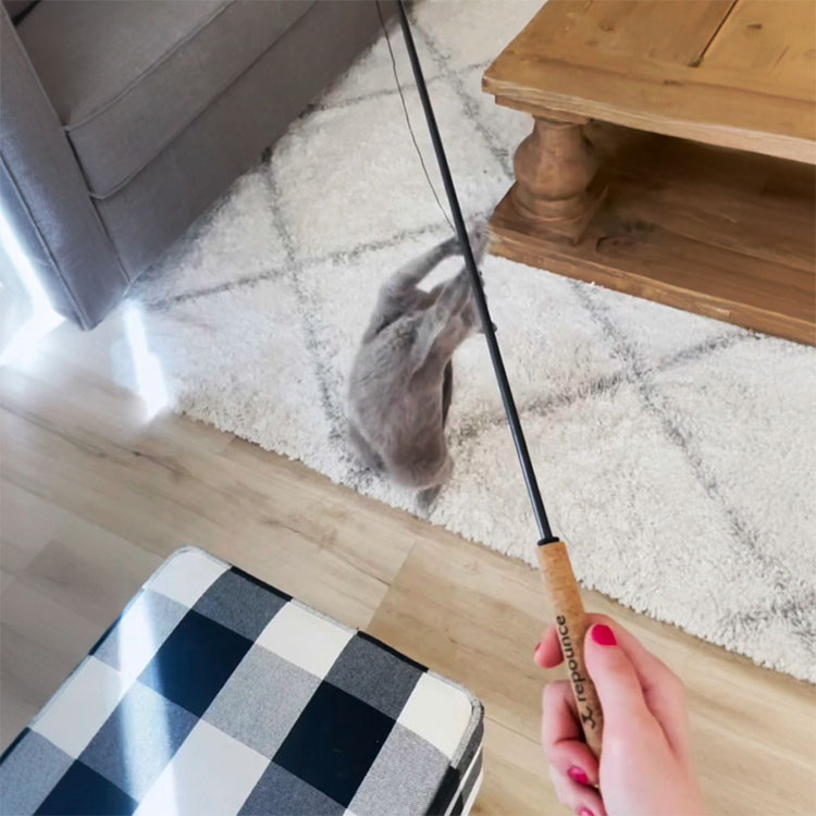 Slidstærkt kattelegetøj