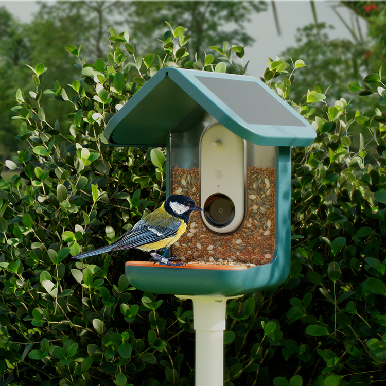 Fuglefoderautomat med kamera, Birdbuddy billede