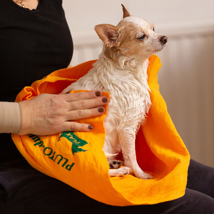 Håndklæde til hunden