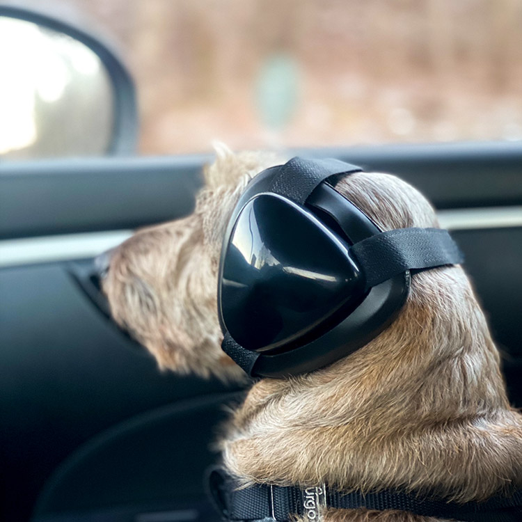 Høreværn til hunde