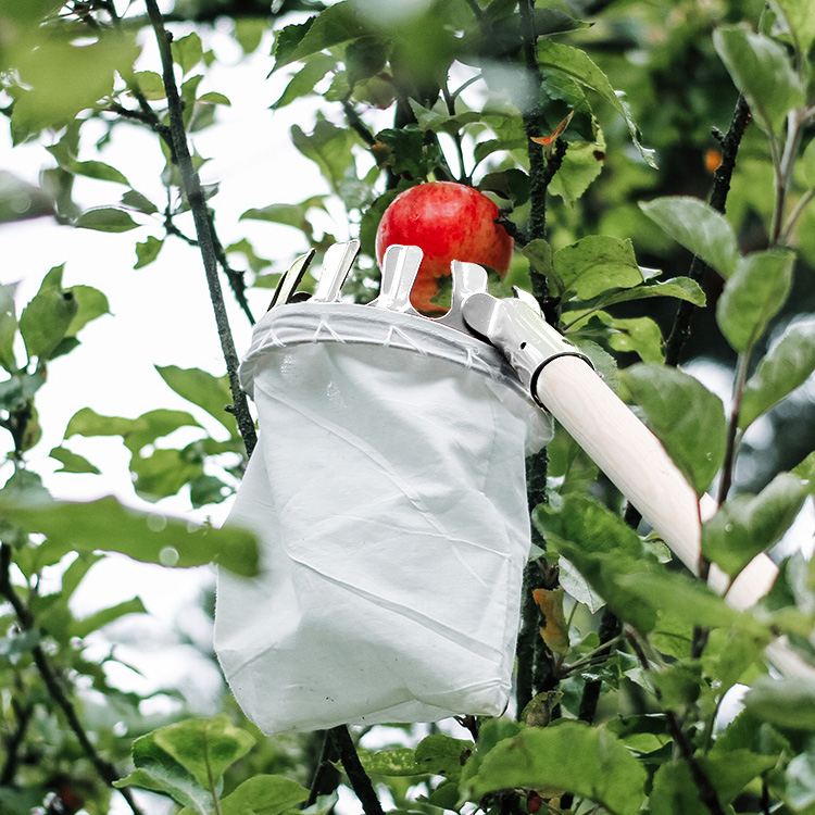 Frugtplukker