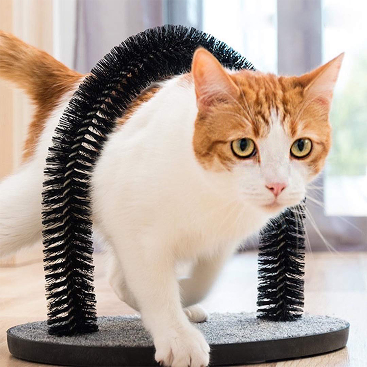 Kattebue