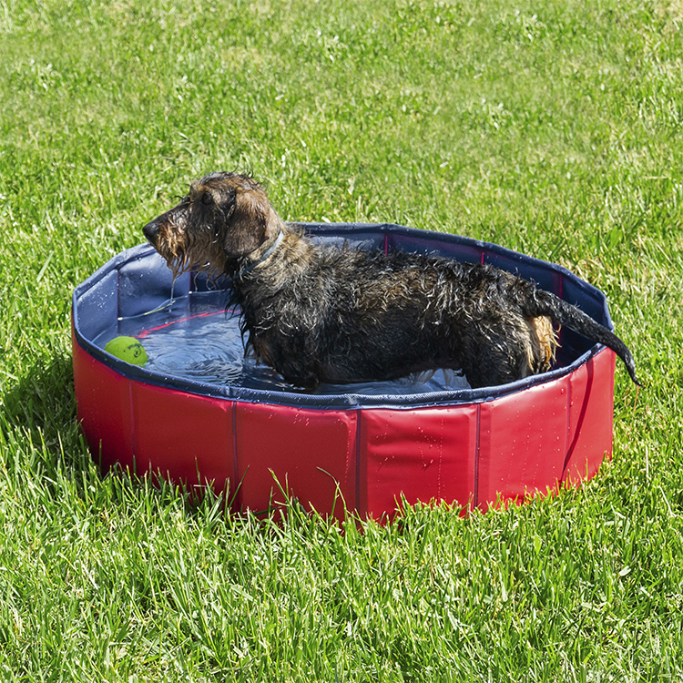 Foldbar hundepool