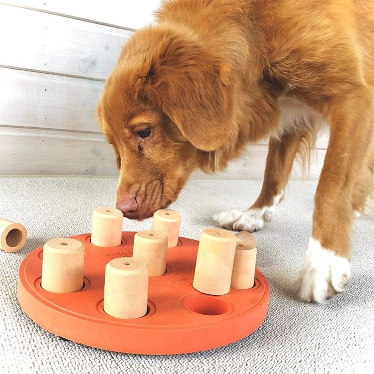 Aktivitetsspil til hunden