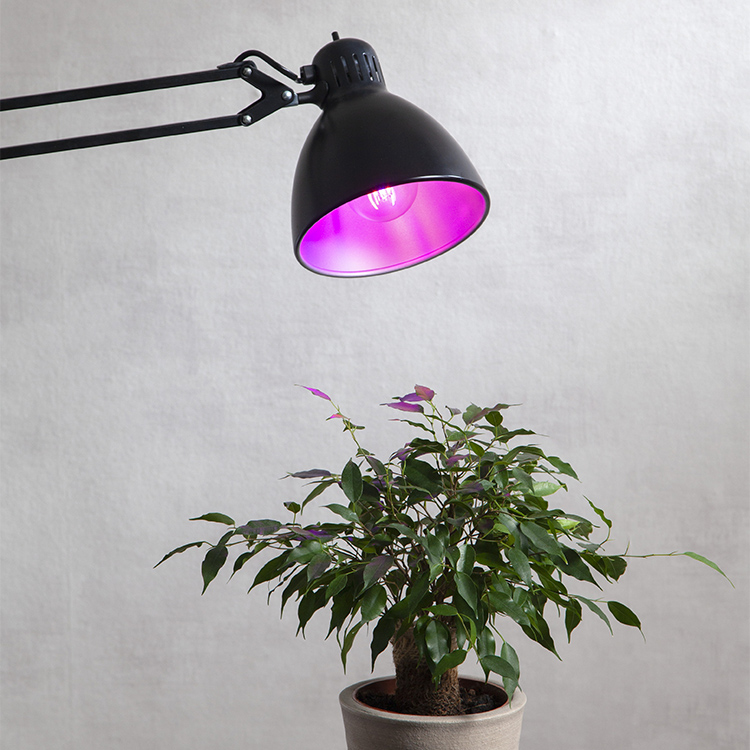 LED - Få planterne til at trives på mørke dage SmartaSaker