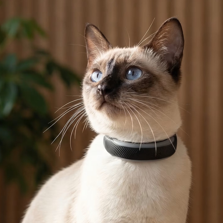 GPS til kat, Tractive