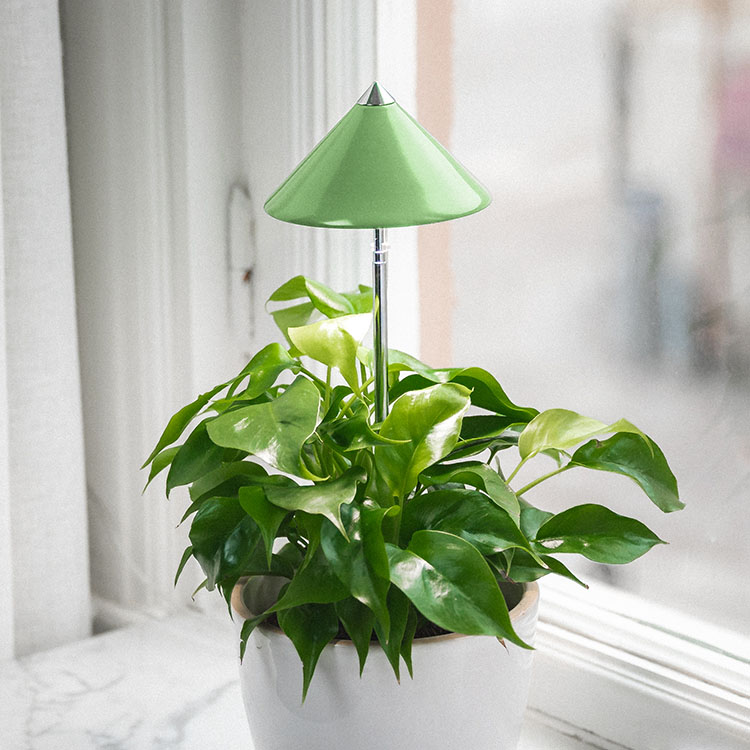 Vækstlampe på spyd 7W