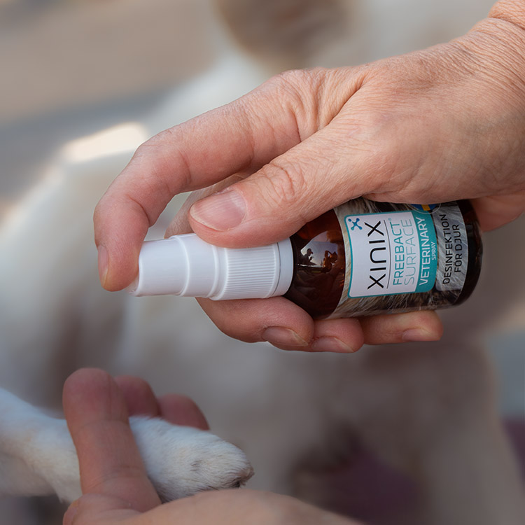 Desinfektionsspray til dyr, Xinix FreeBact Surface
