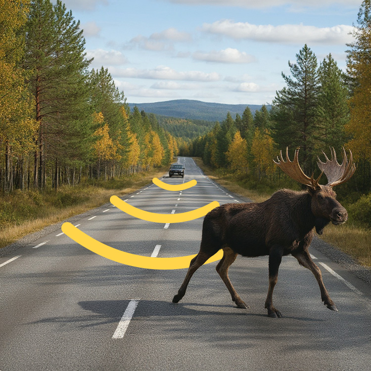 Dyre skræmmer til bilen