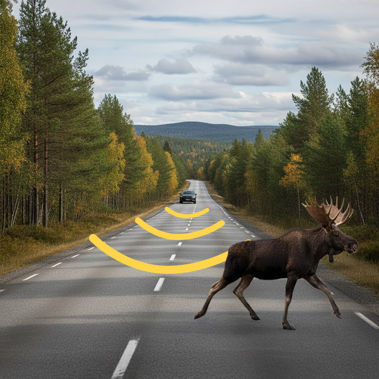 Dyre skræmmer til bilen