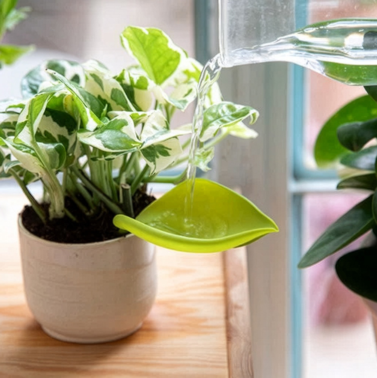 Vandingstragt til potte, 3-pak