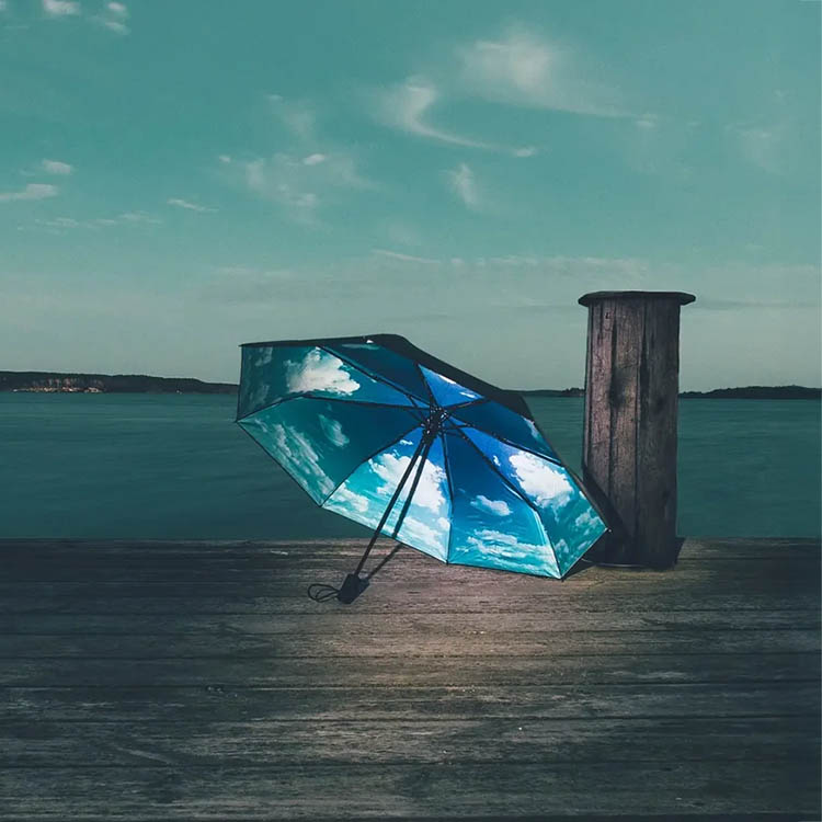 Paraply med fotomotiv