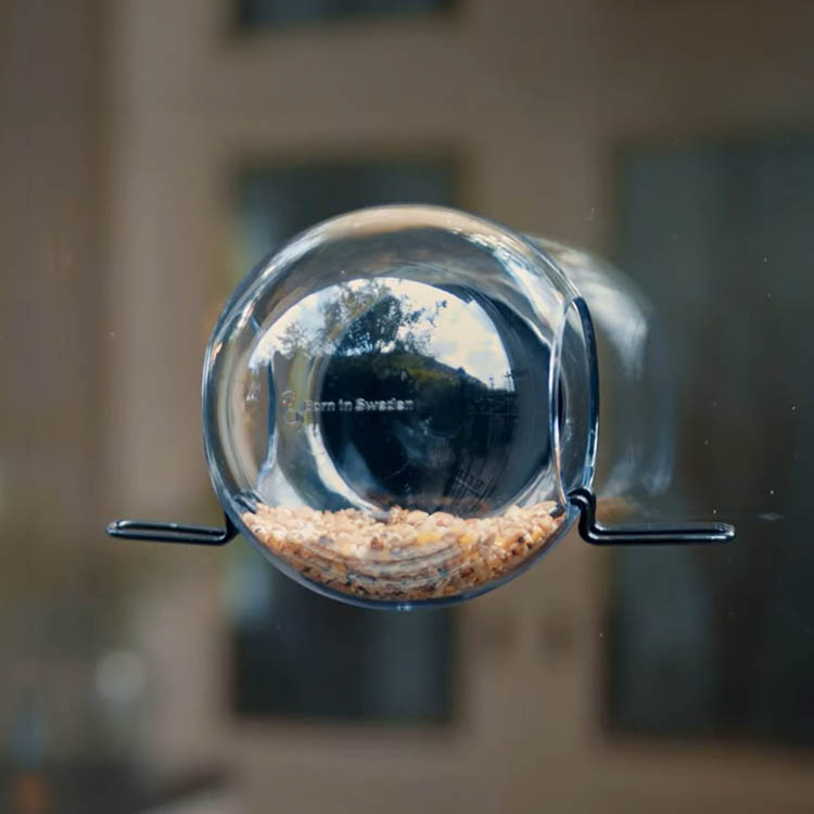 Rund fuglefoderautomat til vindue