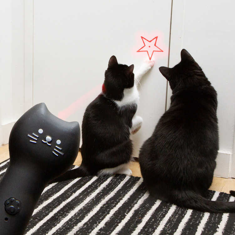 Laserpeger til kat