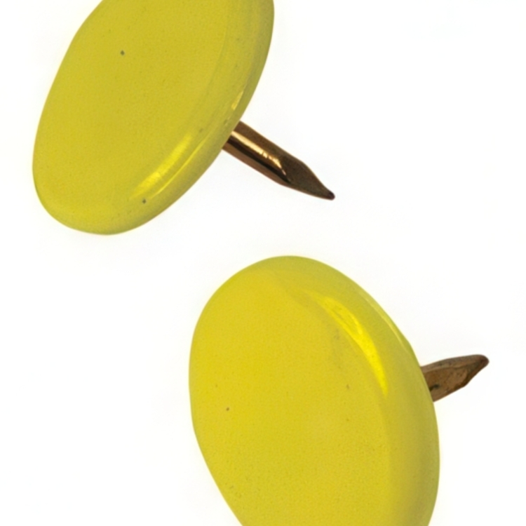 Tegnestifter, THUMB TACKS, 100 stk.