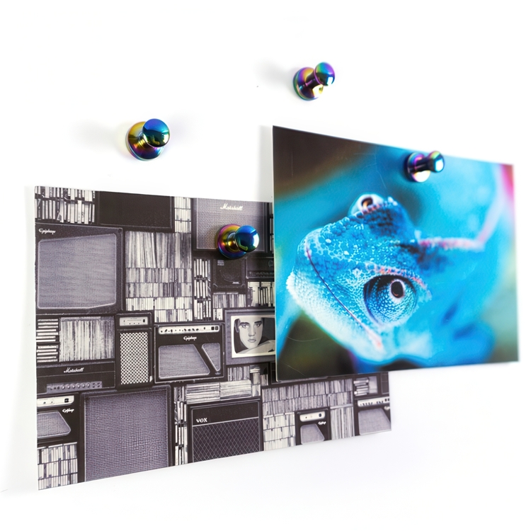 Magnet med knop 4-pak