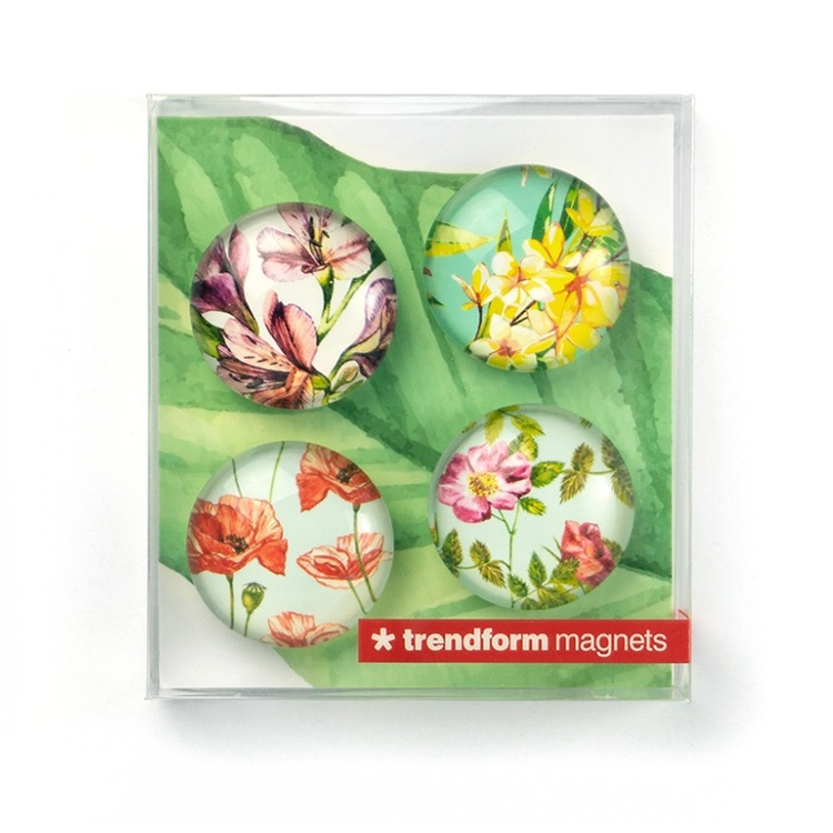 Glasmagneter 4-pak, Blomster