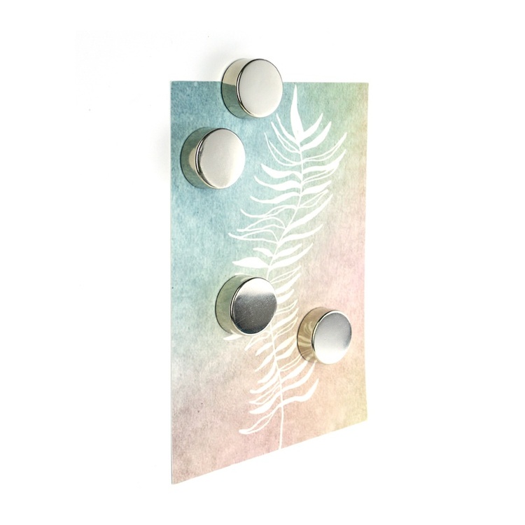 Rund magnet 4-pak, Sølv