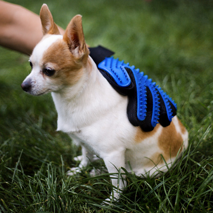 Børstehandske til hund og kat i gruppen Fritid / Kæledyr hos SmartaSaker.se (12977)