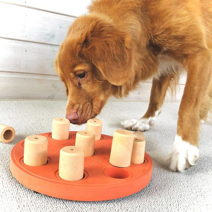 Aktivitetsspil til hunden i gruppen Fritid / Kæledyr / Hundeudstyr hos SmartaSaker.se (13238)