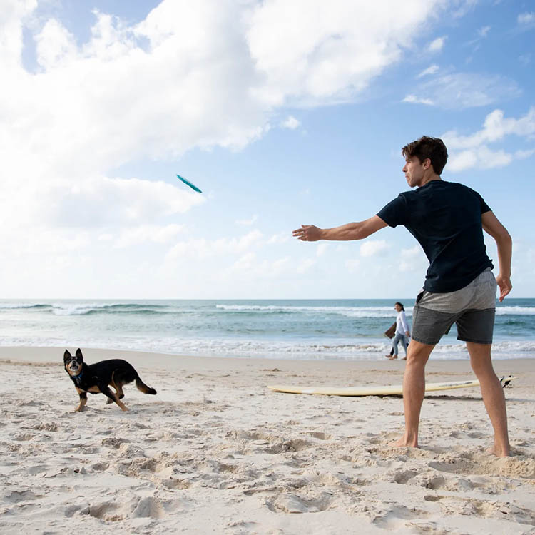 Frisbee til hunden i gruppen Fritid / Kæledyr / Hundeudstyr hos SmartaSaker.se (13281)