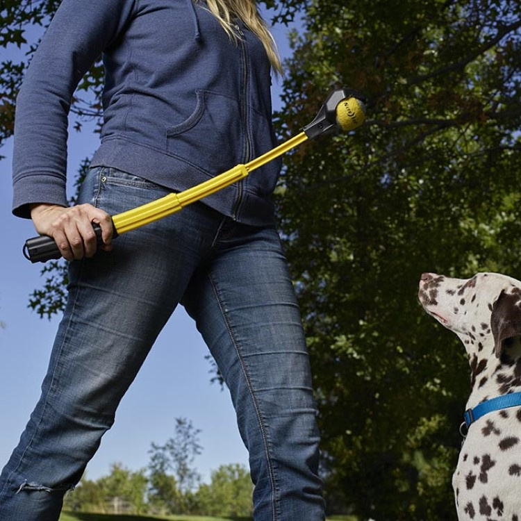 Sammenklappelig boldkaster i gruppen Fritid / Kæledyr / Hundeudstyr hos SmartaSaker.se (13681)