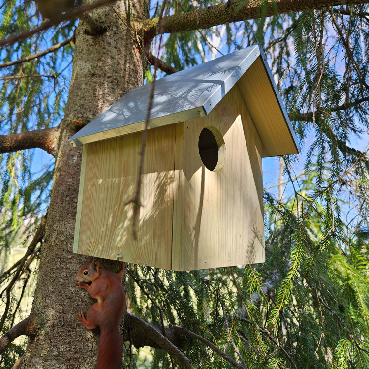 Egernhus i gruppen Hjem / Have / Hutches og hoteller hos SmartaSaker.se (13820)