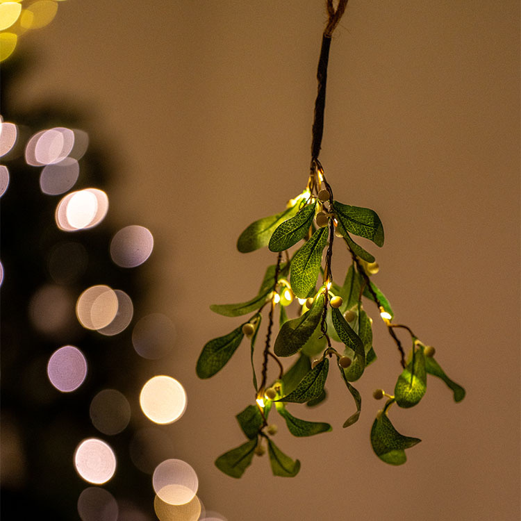 Mistelten med belysning i gruppen Højtider / Advent og jul / Julepynt hos SmartaSaker.se (13889)