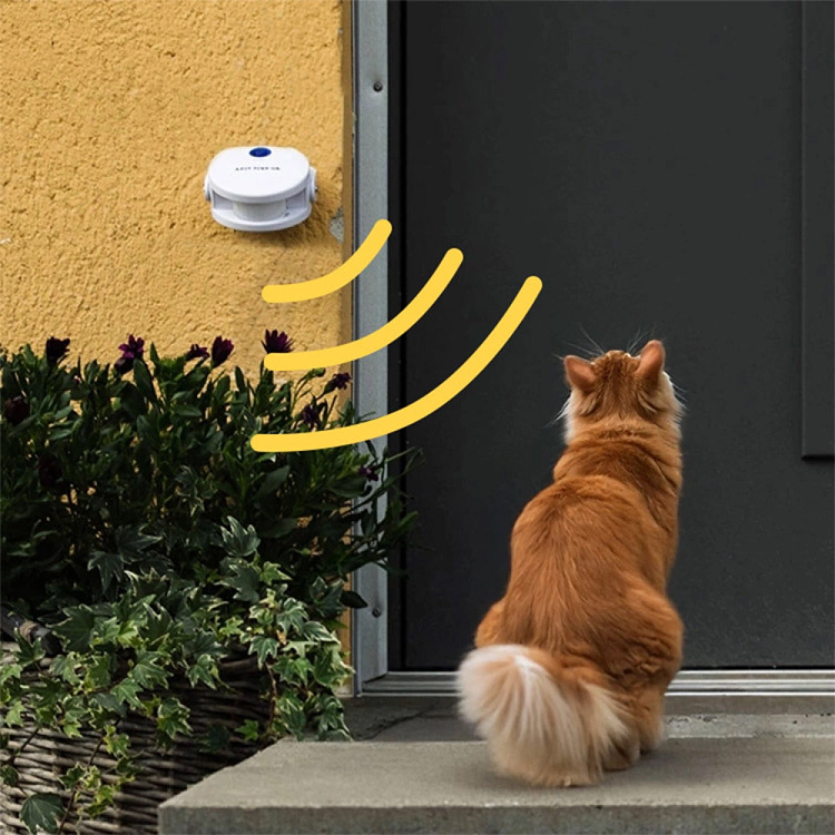 Dørklokke til katten i gruppen Fritid / Kæledyr / Katteudstyr hos SmartaSaker.se (10913)
