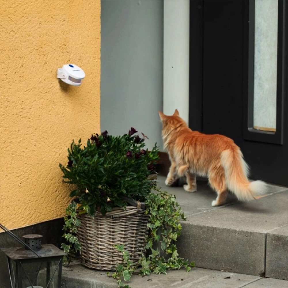 Dørklokke til katten i gruppen Fritid / Kæledyr / Katteudstyr hos SmartaSaker.se (10913)