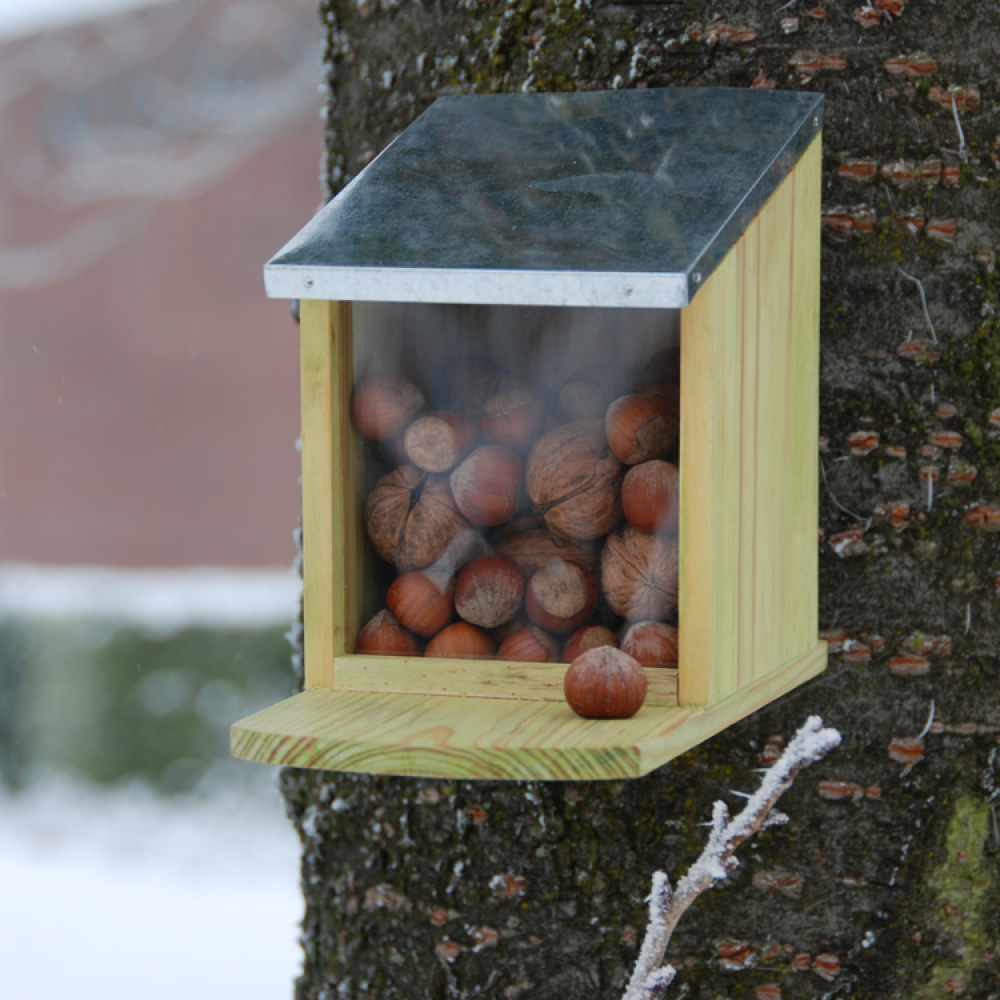 Foderbræt til egern i gruppen Hjem / Have / Hutches og hoteller hos SmartaSaker.se (11820)