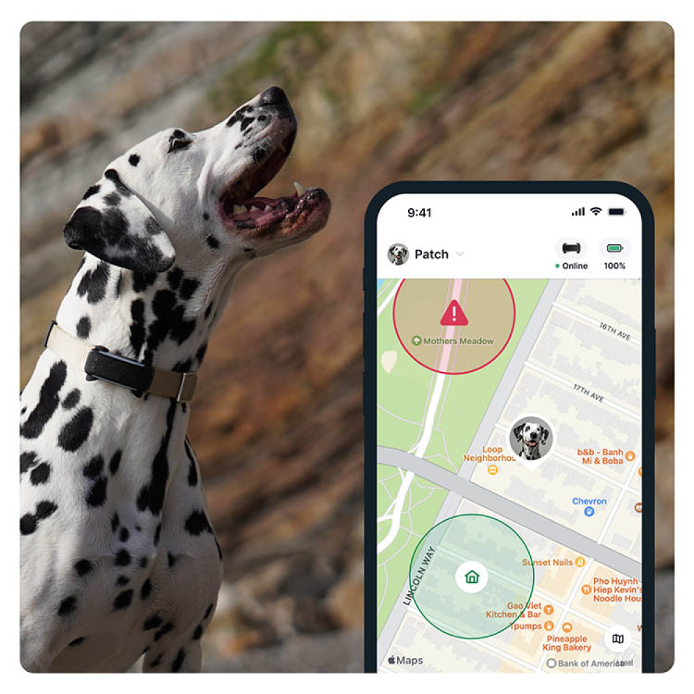 GPS til hund, Tractive i gruppen Fritid / Kæledyr / Hundeudstyr hos SmartaSaker.se (11853)