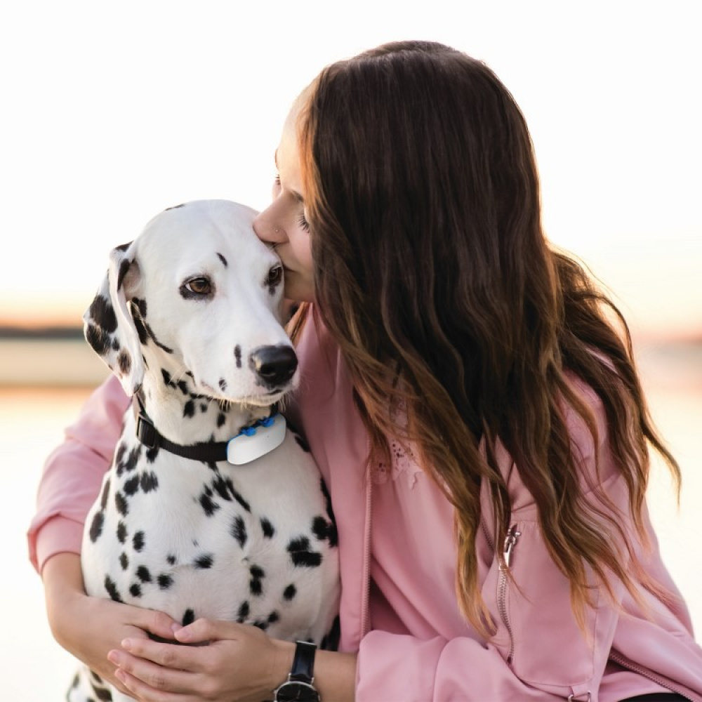 GPS til hund i gruppen Fritid / Kæledyr / Hundeudstyr hos SmartaSaker.se (11853)