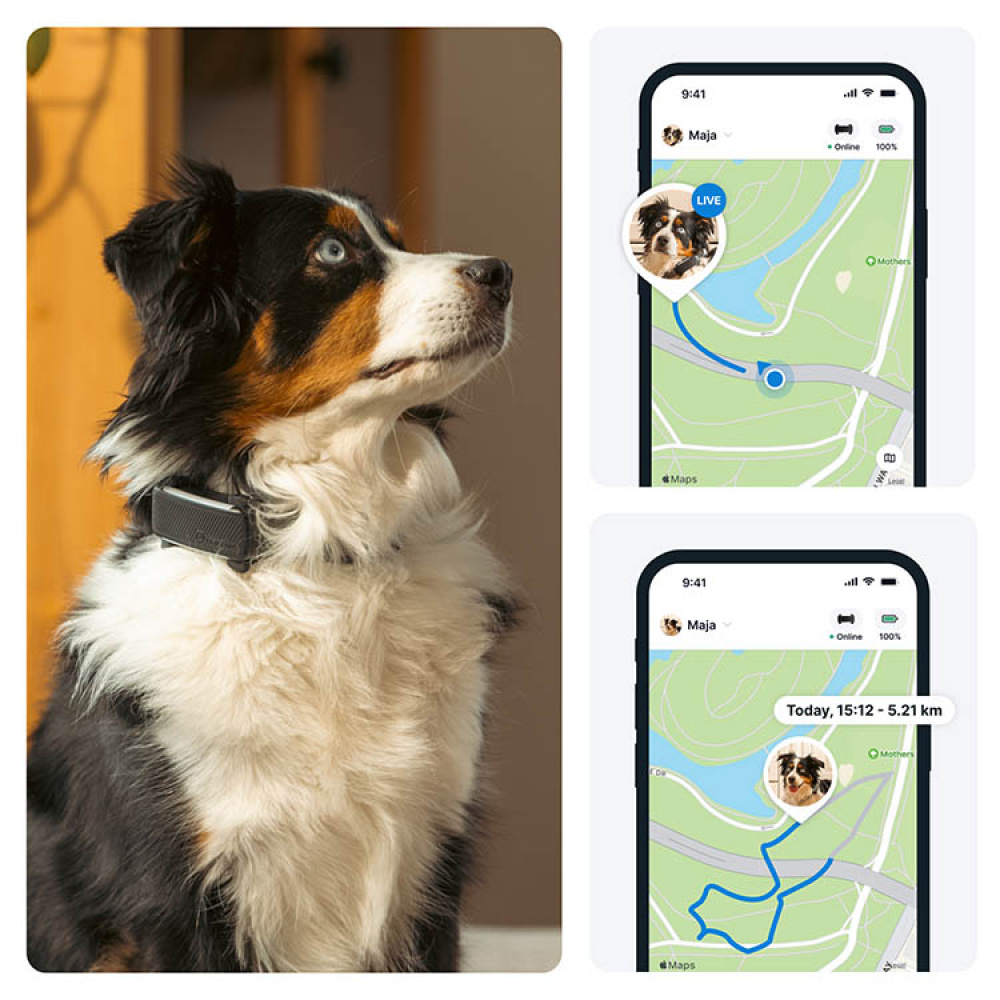 GPS til hund, Tractive i gruppen Fritid / Kæledyr / Hundeudstyr hos SmartaSaker.se (11853)
