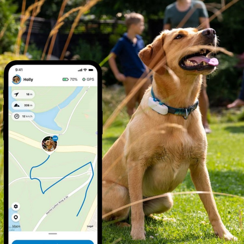 GPS til hund i gruppen Fritid / Kæledyr / Hundeudstyr hos SmartaSaker.se (11853)