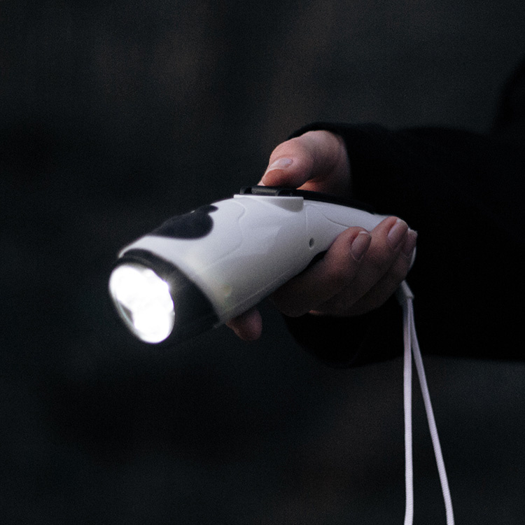 Lommelygte & radio med dynamo i gruppen Sikkerhed / Kriseberedskab hos SmartaSaker.se (13154)