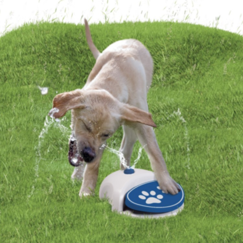 Vandfontæne til hunden i gruppen Fritid / Kæledyr / Hundeudstyr hos SmartaSaker.se (13269)