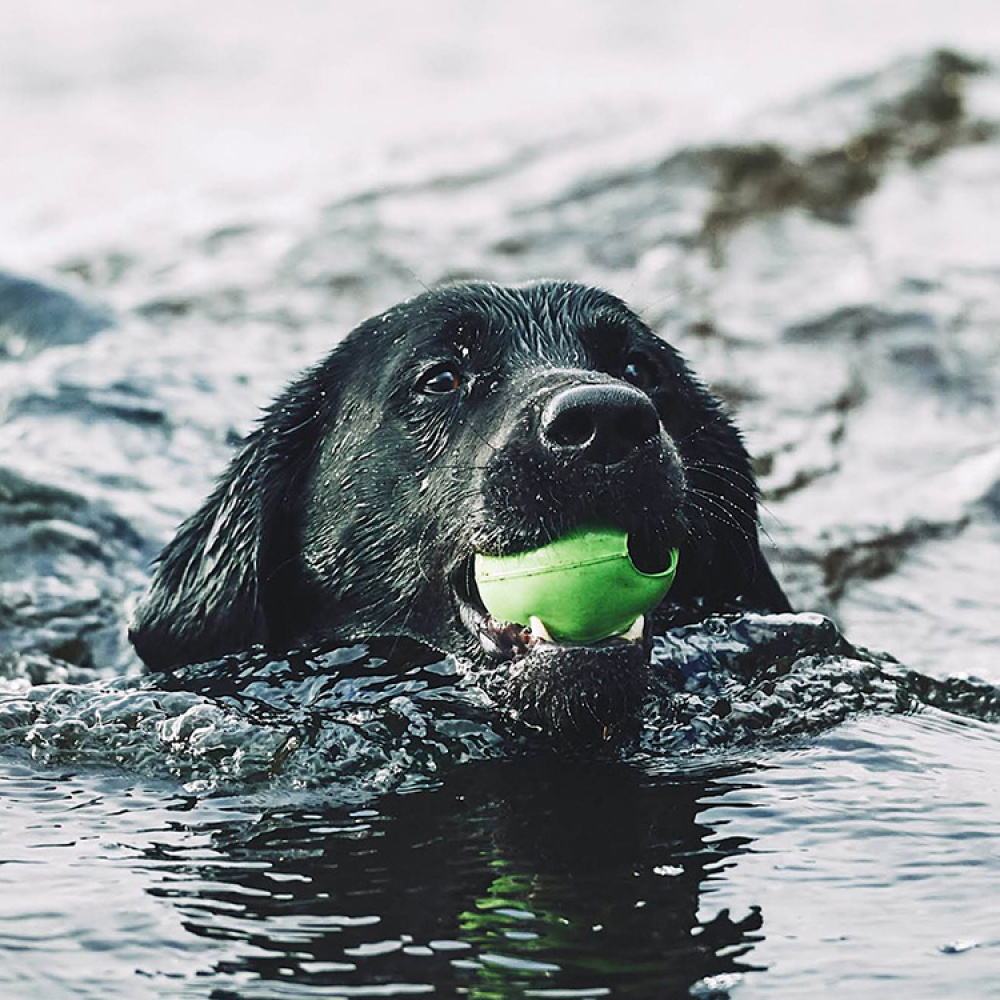 Aktivitetsbold til hunden i gruppen Fritid / Kæledyr / Hundeudstyr hos SmartaSaker.se (13280)