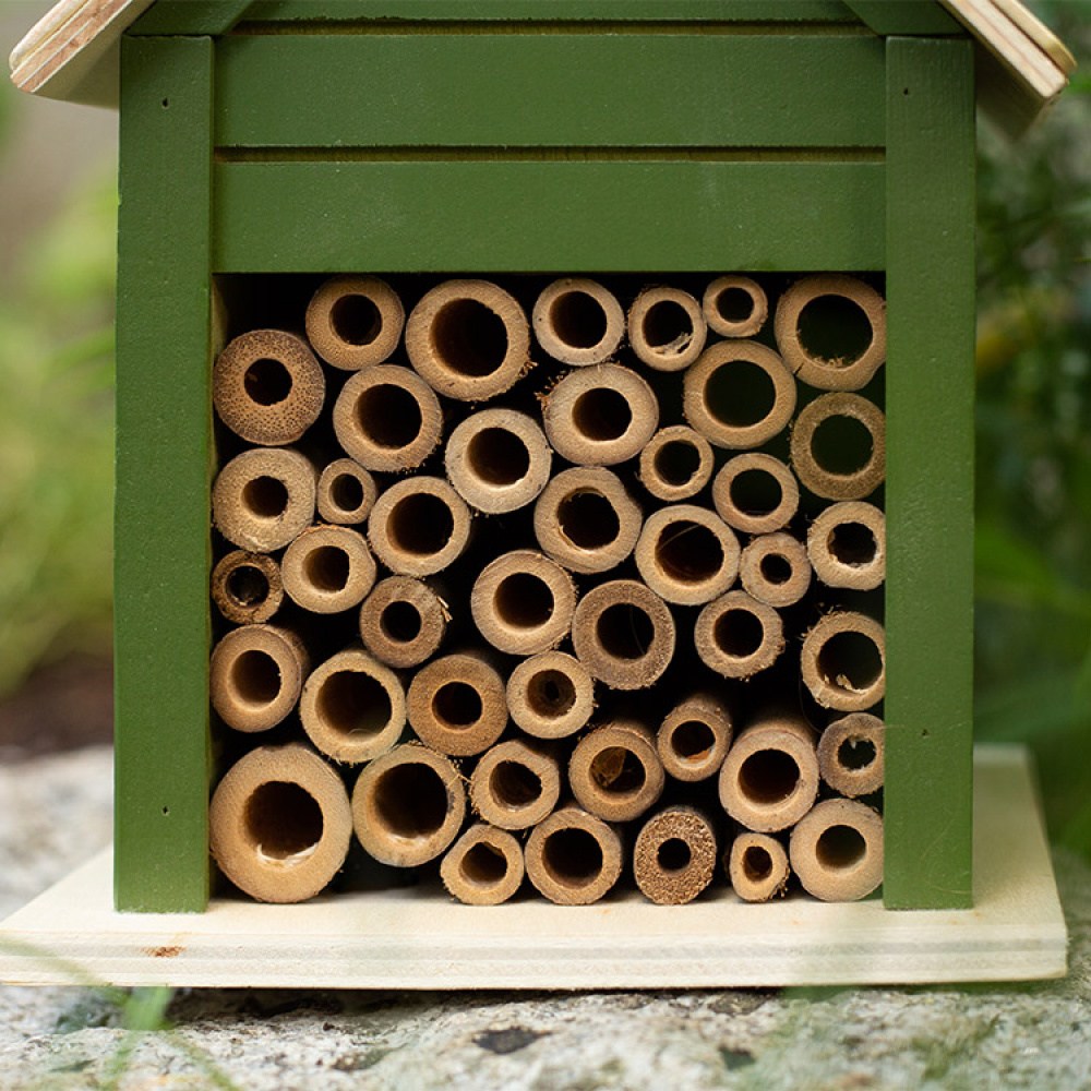 Bihotel i gruppen Hjem / Have / Hutches og hoteller hos SmartaSaker.se (13488)