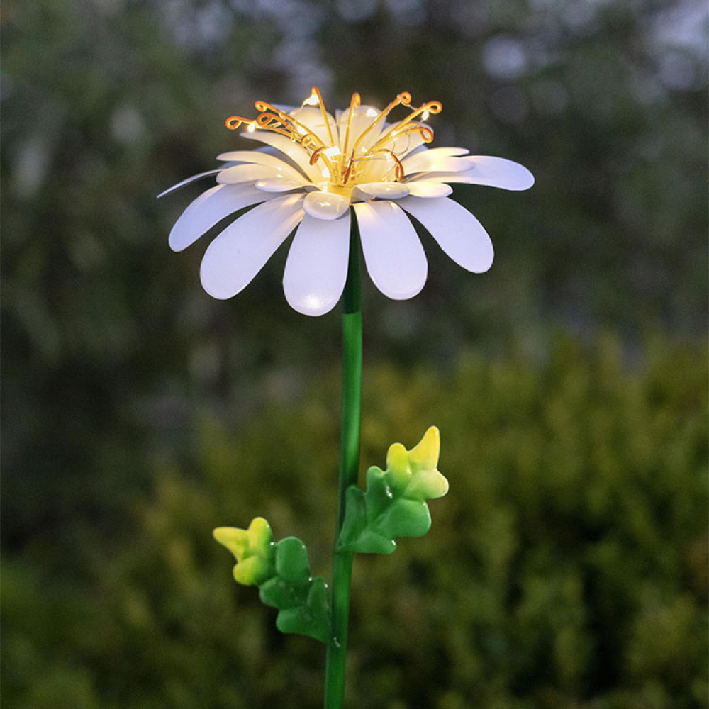 Solcelleblomst på spyd, Daisy i gruppen Belysning / Udendørsbelysning / Solcellelamper hos SmartaSaker.se (13525)