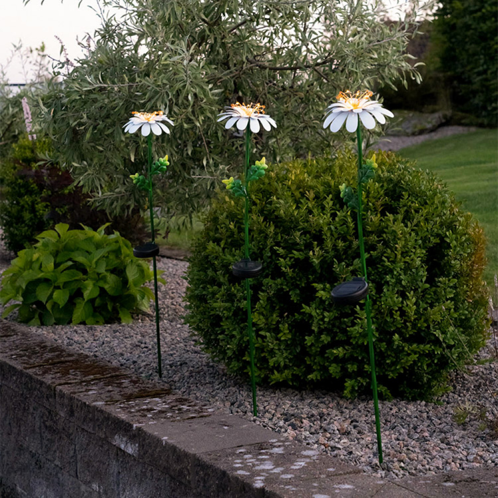 Solcelleblomst på spyd, Daisy i gruppen Belysning / Udendørsbelysning / Solcellelamper hos SmartaSaker.se (13525)