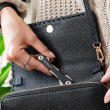 Nøglering KeySmart Original
