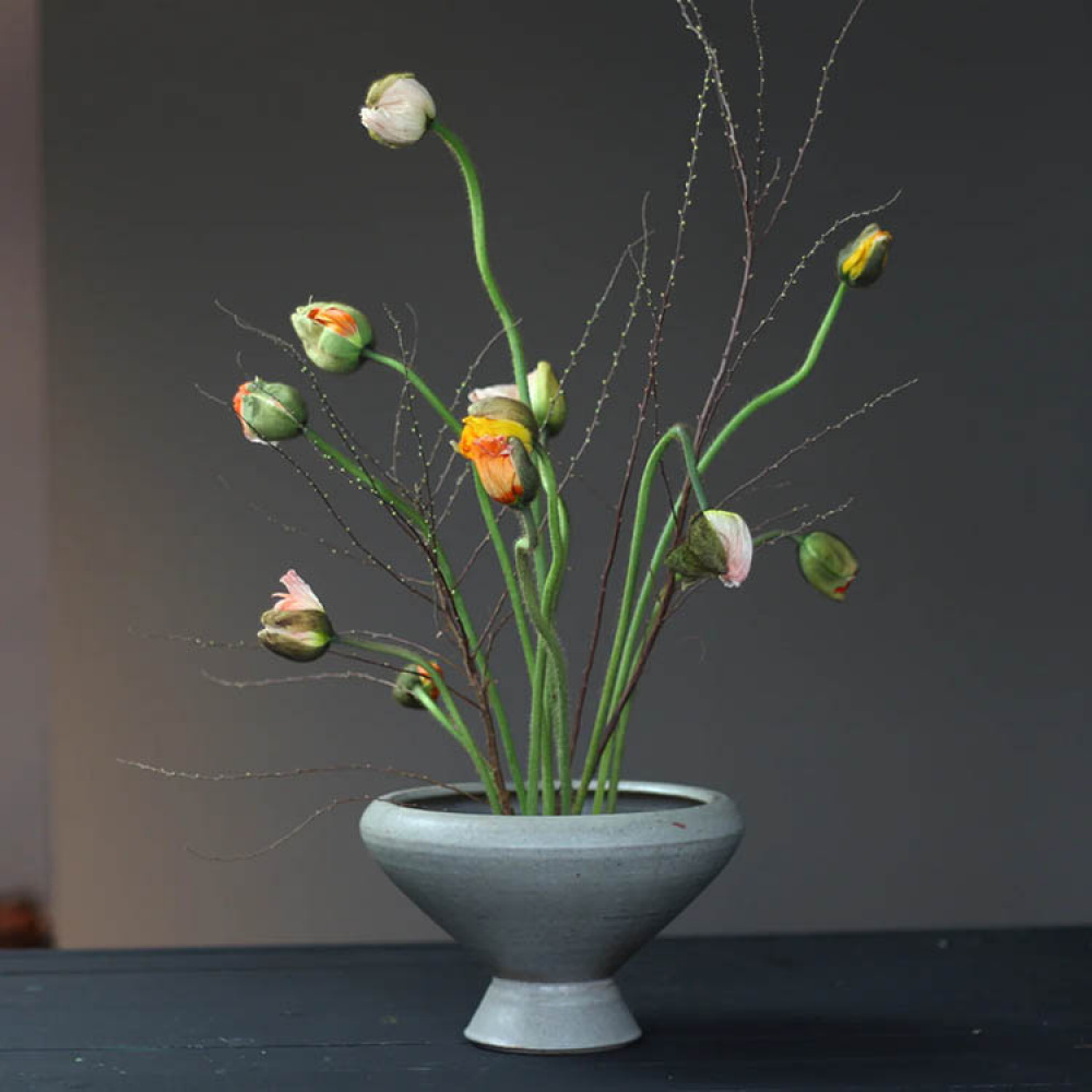 Blomsterfakir i gruppen Hjem / Indretning hos SmartaSaker.se (13574)